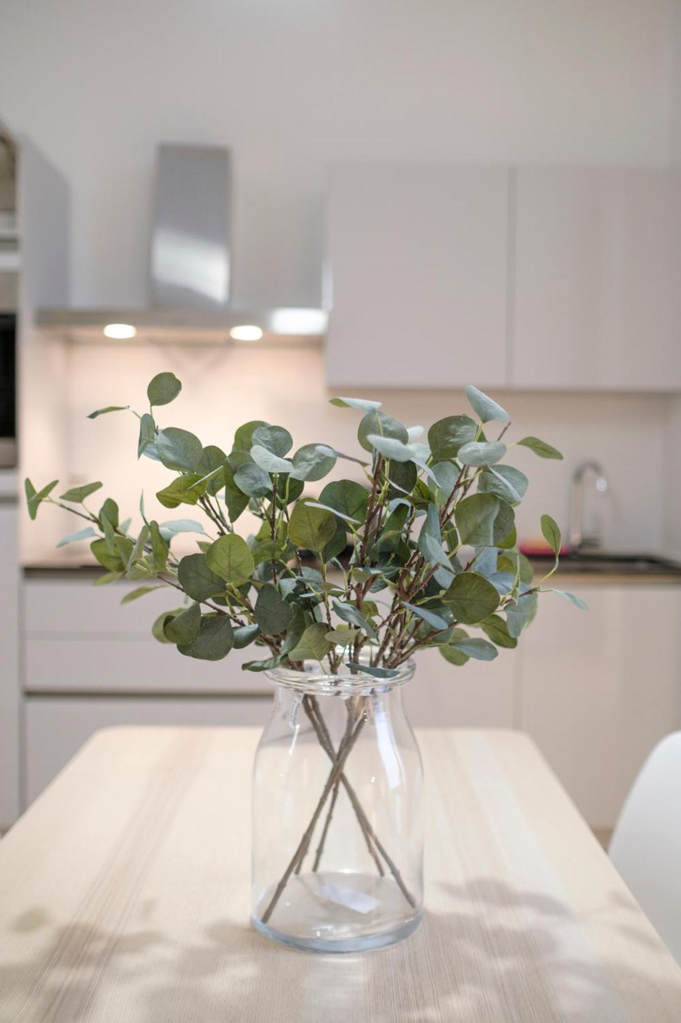 The Doms Flats Apartment บรัสเซลส์ ภายนอก รูปภาพ